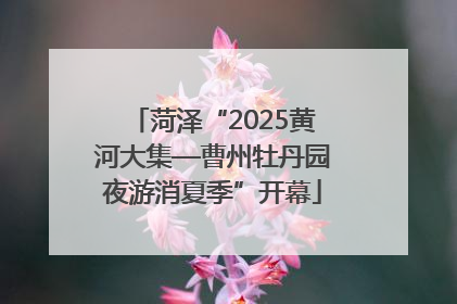 菏泽“2025黄河大集—曹州牡丹园夜游消夏季”开幕