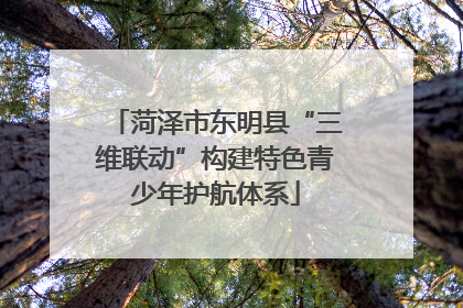 菏泽市东明县“三维联动”构建特色青少年护航体系