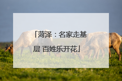菏泽：名家走基层 百姓乐开花