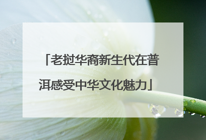 老挝华裔新生代在普洱感受中华文化魅力