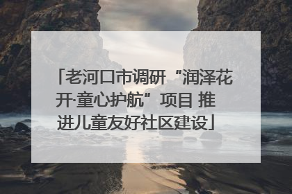 老河口市调研“润泽花开·童心护航”项目 推进儿童友好社区建设