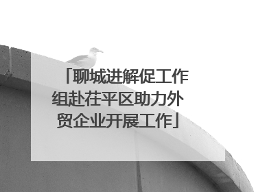 聊城进解促工作组赴茌平区助力外贸企业开展工作