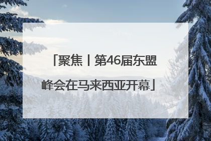 聚焦丨第46届东盟峰会在马来西亚开幕
