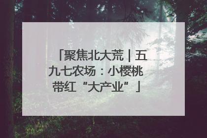 聚焦北大荒｜五九七农场：小樱桃带红“大产业”