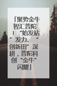 聚势金牛 智汇普陀〡“始发站”发力、“创新田”深耕，普陀科创“金牛”闪耀