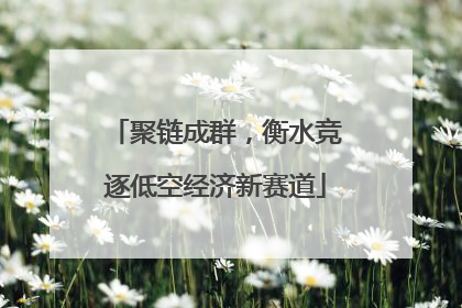 聚链成群，衡水竞逐低空经济新赛道