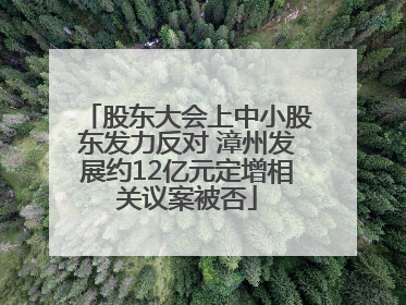 股东大会上中小股东发力反对 漳州发展约12亿元定增相关议案被否