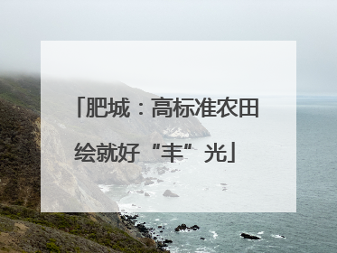 肥城：高标准农田绘就好“丰”光