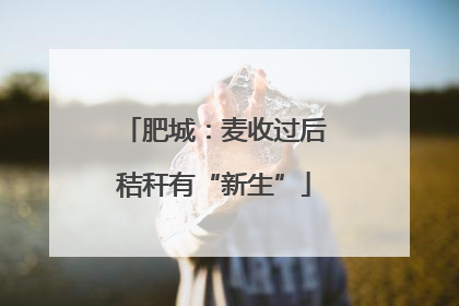 肥城：麦收过后秸秆有“新生”