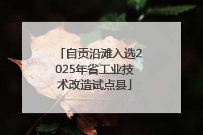 自贡沿滩入选2025年省工业技术改造试点县