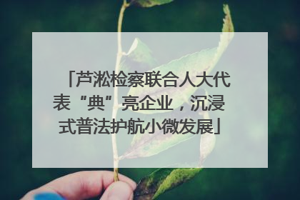 芦淞检察联合人大代表“典”亮企业，沉浸式普法护航小微发展