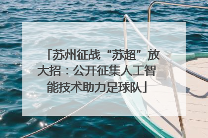 苏州征战“苏超”放大招：公开征集人工智能技术助力足球队