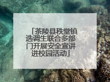 茶陵县秩堂镇选调生联合多部门开展安全宣讲进校园活动