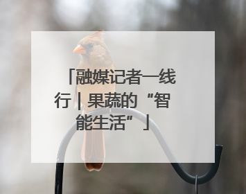 融媒记者一线行｜果蔬的“智能生活”