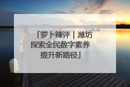 萝卜辣评｜潍坊探索全民数字素养提升新路径
