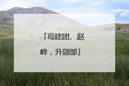 葛建团、赵峰，升副部