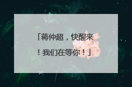 蒋仲超，快醒来！我们在等你！