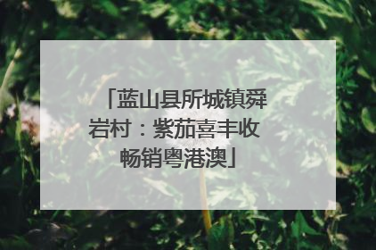 蓝山县所城镇舜岩村：紫茄喜丰收 畅销粤港澳