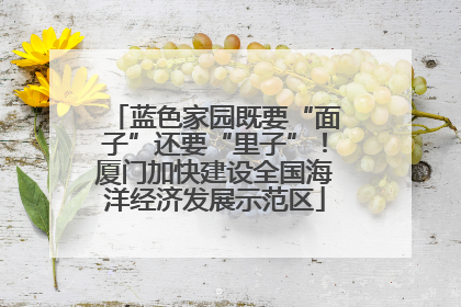蓝色家园既要“面子”还要“里子”！厦门加快建设全国海洋经济发展示范区