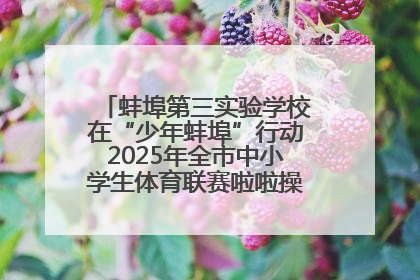 蚌埠第三实验学校在“少年蚌埠”行动2025年全市中小学生体育联赛啦啦操比赛中获佳绩