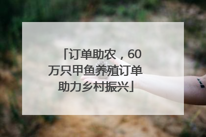 订单助农，60万只甲鱼养殖订单助力乡村振兴