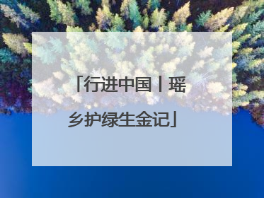 行进中国丨瑶乡护绿生金记