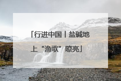 行进中国丨盐碱地上“渔歌”嘹亮