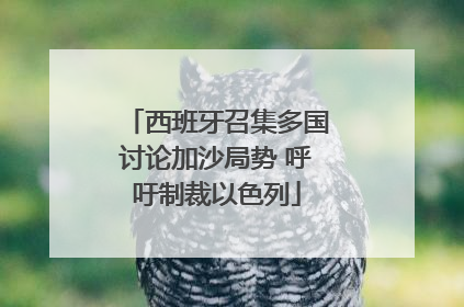 西班牙召集多国讨论加沙局势 呼吁制裁以色列