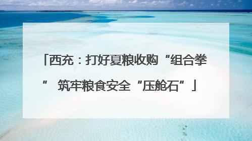 西充：打好夏粮收购“组合拳” 筑牢粮食安全“压舱石”
