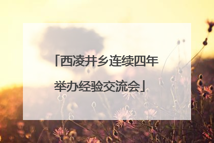 西凌井乡连续四年举办经验交流会
