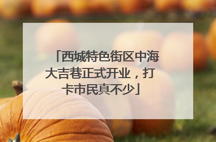 西城特色街区中海大吉巷正式开业，打卡市民真不少