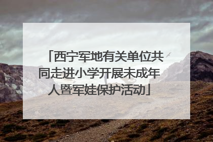西宁军地有关单位共同走进小学开展未成年人暨军娃保护活动