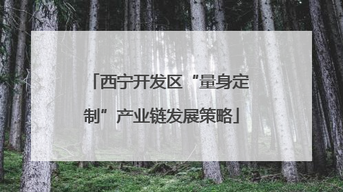 西宁开发区“量身定制”产业链发展策略