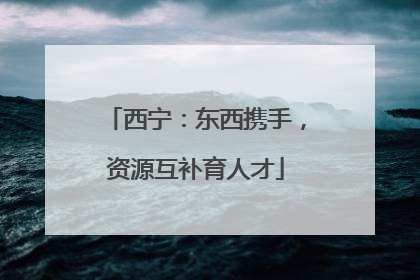 西宁：东西携手，资源互补育人才