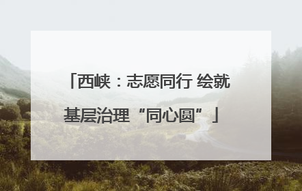 西峡：志愿同行 绘就基层治理“同心圆”