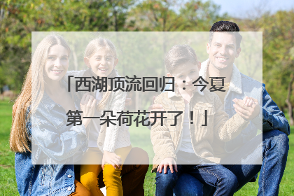 西湖顶流回归：今夏第一朵荷花开了！