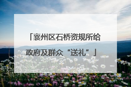 襄州区石桥资规所给政府及群众“送礼”