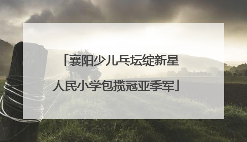 襄阳少儿乓坛绽新星 人民小学包揽冠亚季军