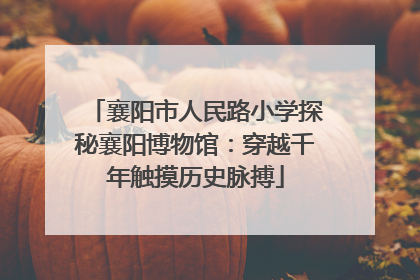 襄阳市人民路小学探秘襄阳博物馆：穿越千年触摸历史脉搏