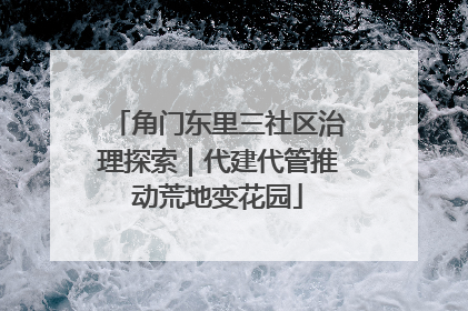角门东里三社区治理探索｜代建代管推动荒地变花园
