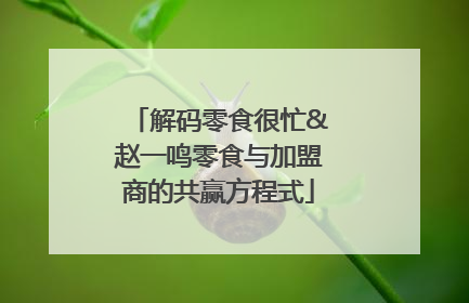 解码零食很忙&赵一鸣零食与加盟商的共赢方程式