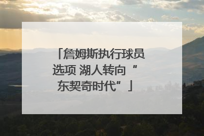 詹姆斯执行球员选项 湖人转向“东契奇时代”