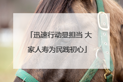 迅速行动显担当 大家人寿为民践初心
