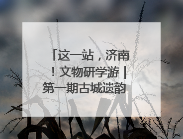 这一站，济南！文物研学游｜第一期古城遗韵·古建筑巡迹之旅圆满结束