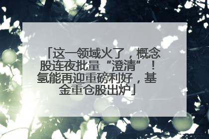 这一领域火了，概念股连夜批量“澄清”！氢能再迎重磅利好，基金重仓股出炉