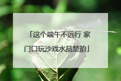 这个端午不远行 家门口玩沙戏水品楚韵