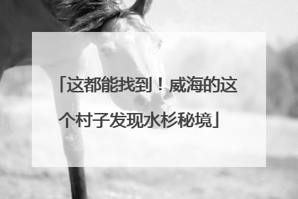这都能找到！威海的这个村子发现水杉秘境