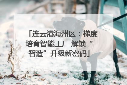 连云港海州区：梯度培育智能工厂 解锁“智造”升级新密码