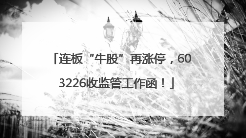 连板“牛股”再涨停，603226收监管工作函！
