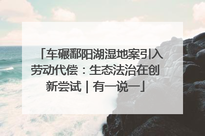 车碾鄱阳湖湿地案引入劳动代偿：生态法治在创新尝试｜有一说一
